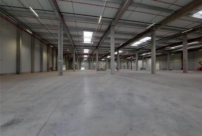 Spatiu Industrial - 720 mp - Productie - Depozitare - Distributie - E-commerce - 19