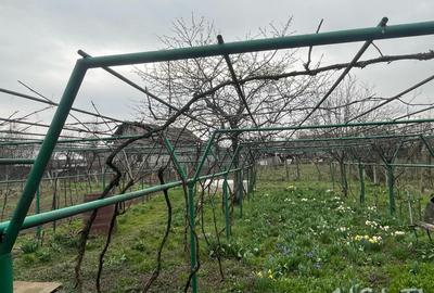 Casa 3 Camere, Strada Luncilor, Tg-Jiu, Gorj - 16