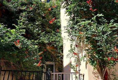 Vila Art Deco din Calea Dorobanților - 7