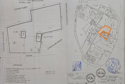 Casă individuală P+E + 2 anexe, teren 3.052 mp – Dârvări, jud. Călărași - 2