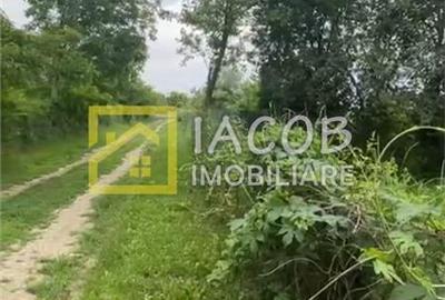 Gheraiesti - Bacau, teren intravilan - 6