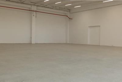 Hala industriala productie sau depozit cu rampa - Freidorf - 5