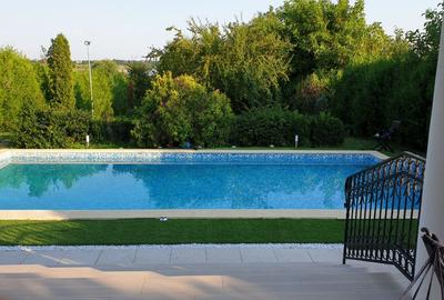 VILA IMPRESIONANTA CU ACCES LA LAC si PISCINA - 9