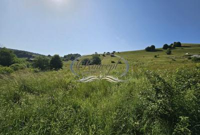 Teren construibil in proximitatea pensiunii ”La Mesteceni” - 6