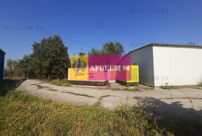 Spatiu Logistic langa Bucuresti Hala 5000 mp - 35