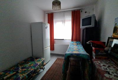 DOUA CASE DE VANZARE - ZONA  RACADAU - SINGUR IN CURTE - 6