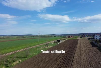 Teren Intravilan 3498 mp Tisauti  Suceava 0727817187 - 8