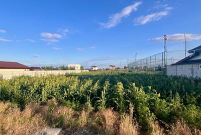 Teren de vanzare intravilan - sat Islaz Comuna Branesti - toate utilitatile - 4