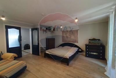 Închiriere casă individuală și teren 982 mp -Bragadiru-20 min Marriott - 20