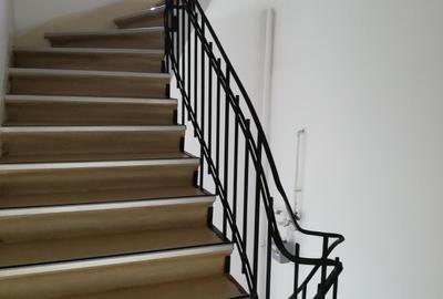 Inchiriere spatiu de birouri intr-o vila interbelica de pe Bulevardul Dacia, - 16
