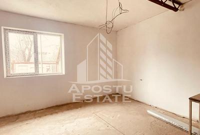 Casa “la gri” cu gradina, zona Calea Aurel Vlaicu - Bujac - 13