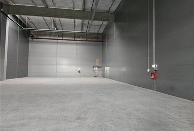 Spatii Industriale - 7000 mp - Logistica - Productie - Depozitare - 8