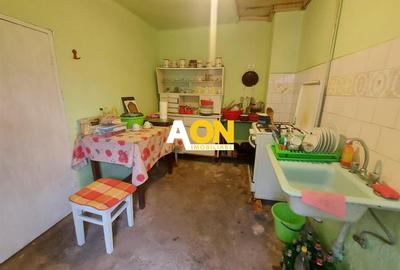 Casa Ciugud Toate Utilitatile cu Teren 3000MP - 11