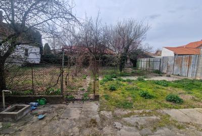 Casa situata in zona Blascovici, pe frumoasa strada Maslinului - 10