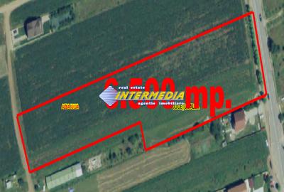 Teren intravilan 6500 mp, deschidere 30 m, PUZ P+2+1+(1), toate utilitățile - 7