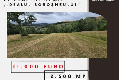 De vânzare teren extravilan loc. Sărămaș - 1