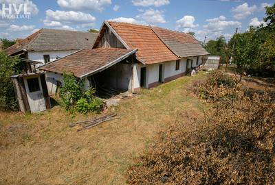 Casa cu teren generos in Peregu Mic