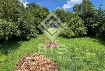 Teren 950m pentru constructii Valea Ghinzii la stradă - 3