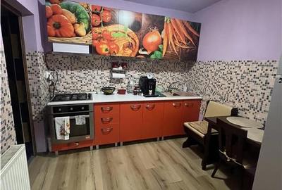 RECO Vila P+M 3 camere in Nufarul - 1