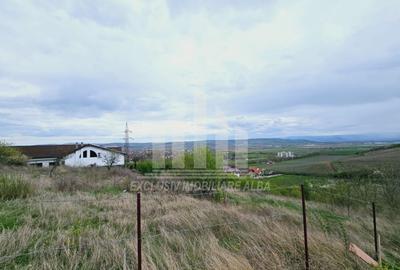 Teren intravilan | De vanzare | 630 mp | 22 ml deschidere | Seigau - 2