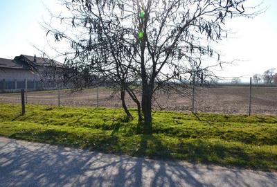 Vanzare Teren intravilan, 5600 mp in Mircea Voda - Dambovita. - 4
