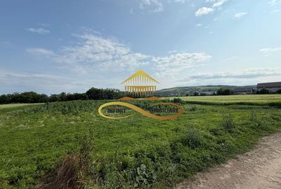 Teren intravilan de Vanzare in Magura Bacau - 7