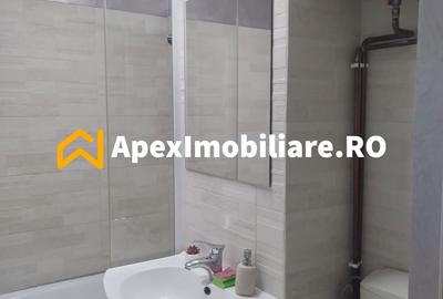 Apartament 1 camere de inchiriat Pantelimon București | ApexImobiliare.ro - 2