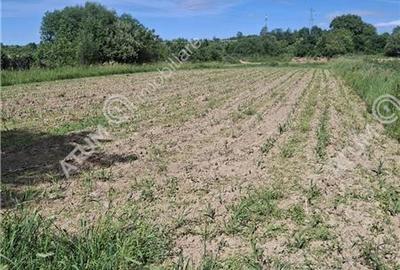 Teren intravilan de 2679 mp in Porumbacu de Sus din Sibiu - 4