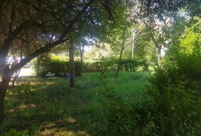 Teren in suprafata de 719 mp Str. Take Ionescu - 4