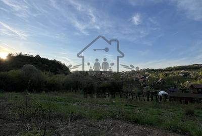 Teren la poalele Cetății Cisnadioarei de vânzare/1250 mp - 6