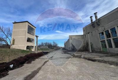 Spațiu industrial vinificatie Dobrinesti - 5