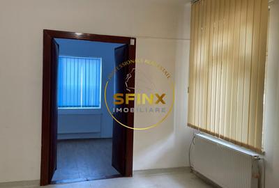 Casa individuala 3 camere Piața Domenii | Curte proprie - 5