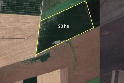 SUPER OCAZIE SE VINDE TEREN ARABIL INTRAVILAN 28 HA IN ZONA BANEASA GIURGIU - 2