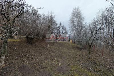 Vanzare casa de vacanta Breaza Prahova - 35