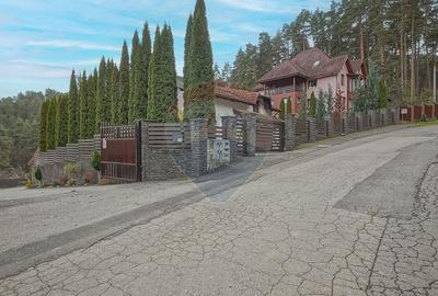 Vila moderna cu vedere spre padure Poiana Angelescu - 44