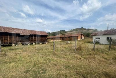 Ferma cu 3000 mp de teren si o constructie de 580 mp - 1