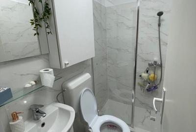 Studio cu gradina si parcare Popesti Leordeni - 3