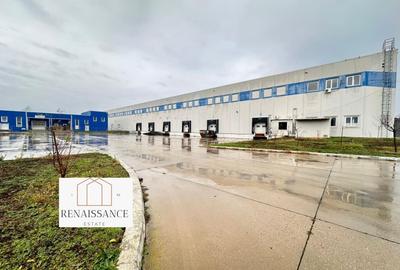 Hala Moderna 6200mp | Panouri Solare - Freidorf - Acces la Centura - 6