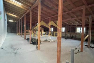 Inchirieri BIROURI CISMIGIU - 19