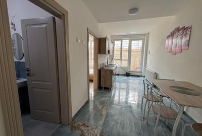 Apartament cu 1 camera Visan - 6