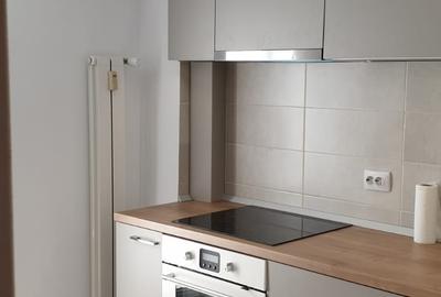 Inchiriere garsoniera - Coposu - Sf Vineri - P-ta Unirii - 13