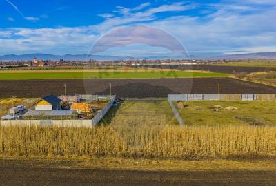 Teren intravilan 800mp Bod / Strada Iasomiei/ zona agrement Cismasu! - 1