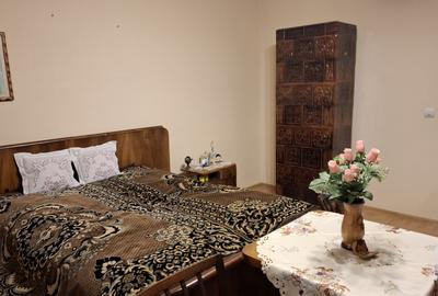 Casa 4 camere in Seitin Judetul Arad - 12