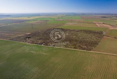 Ocazie- Teren Intravilan de Vanzare- Peris Snagov- Doar 10 euro/mp - 9