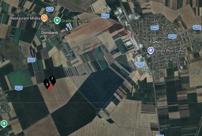 Teren extravilan 46,300mp Curtici - 5