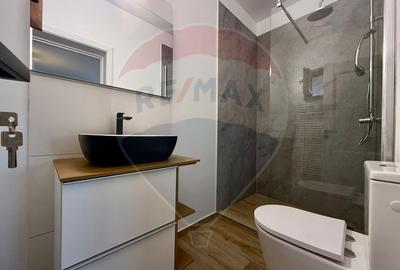 Casa cu teren de inchiriat in Palazu Mare - 15