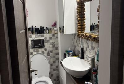 Apartament 4 camere centrala proprie Raul Doamnei, Drumul Taberei - 9