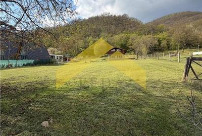 Cabana din piatra de codru si busteni pe Clisura Dunarii, Caraș-Severin - 12