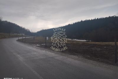 Parcele teren 500-1295 mp cu utilitati-Zona Drumul Tarpiului - 2