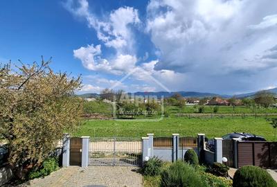 Duplex Zona Linistita Carpinis - 11